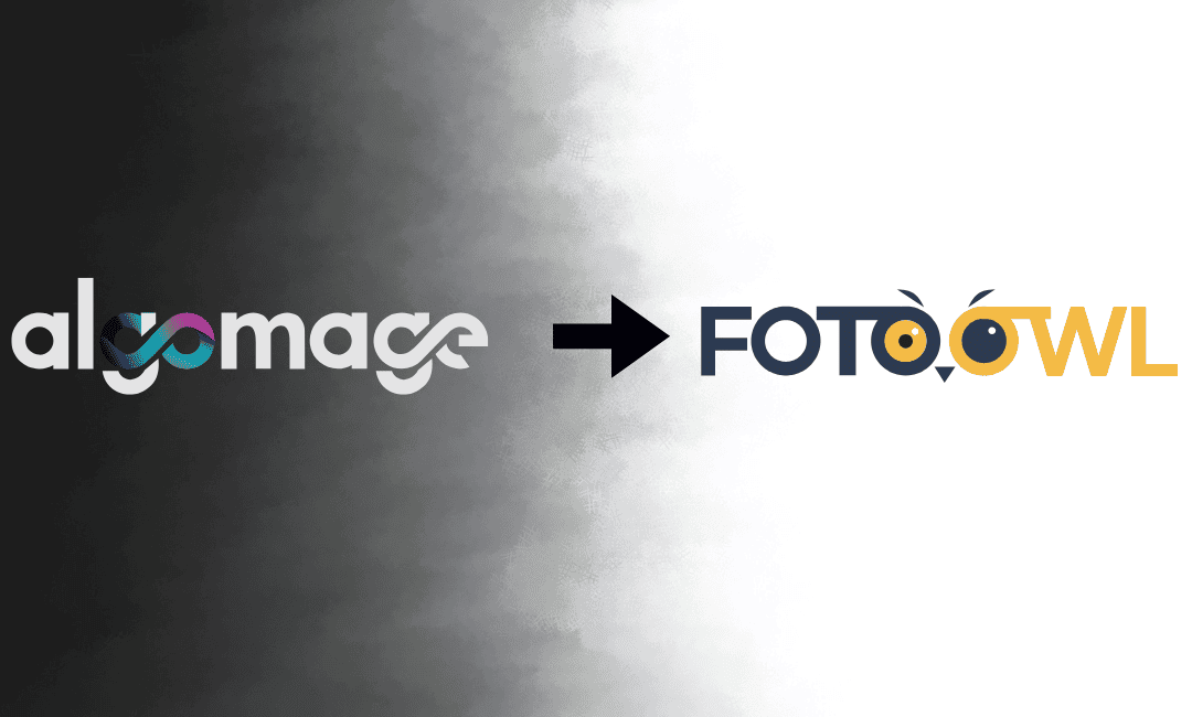 AlgoMage to FotoOwl transition